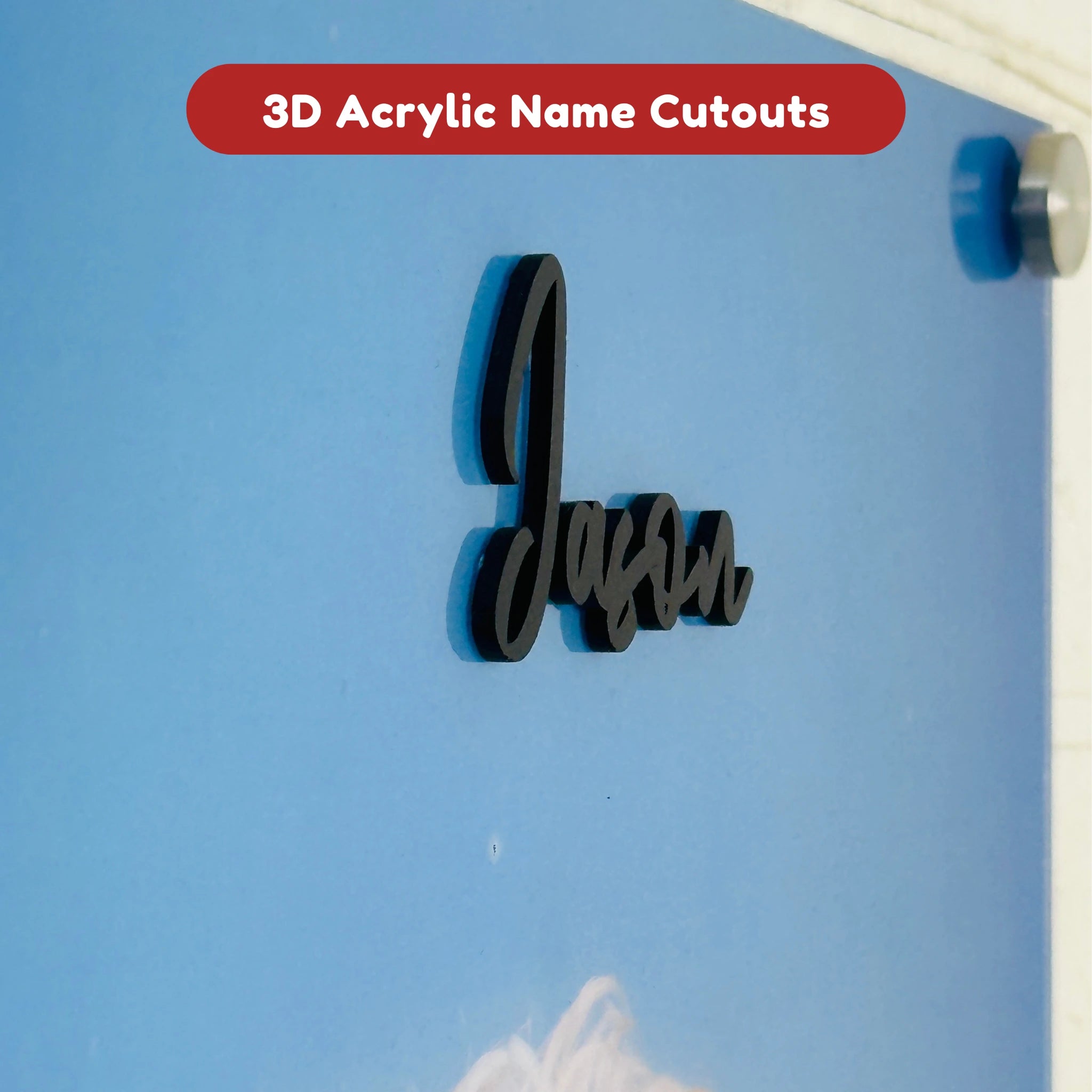 Customised Pet Portrait Standard