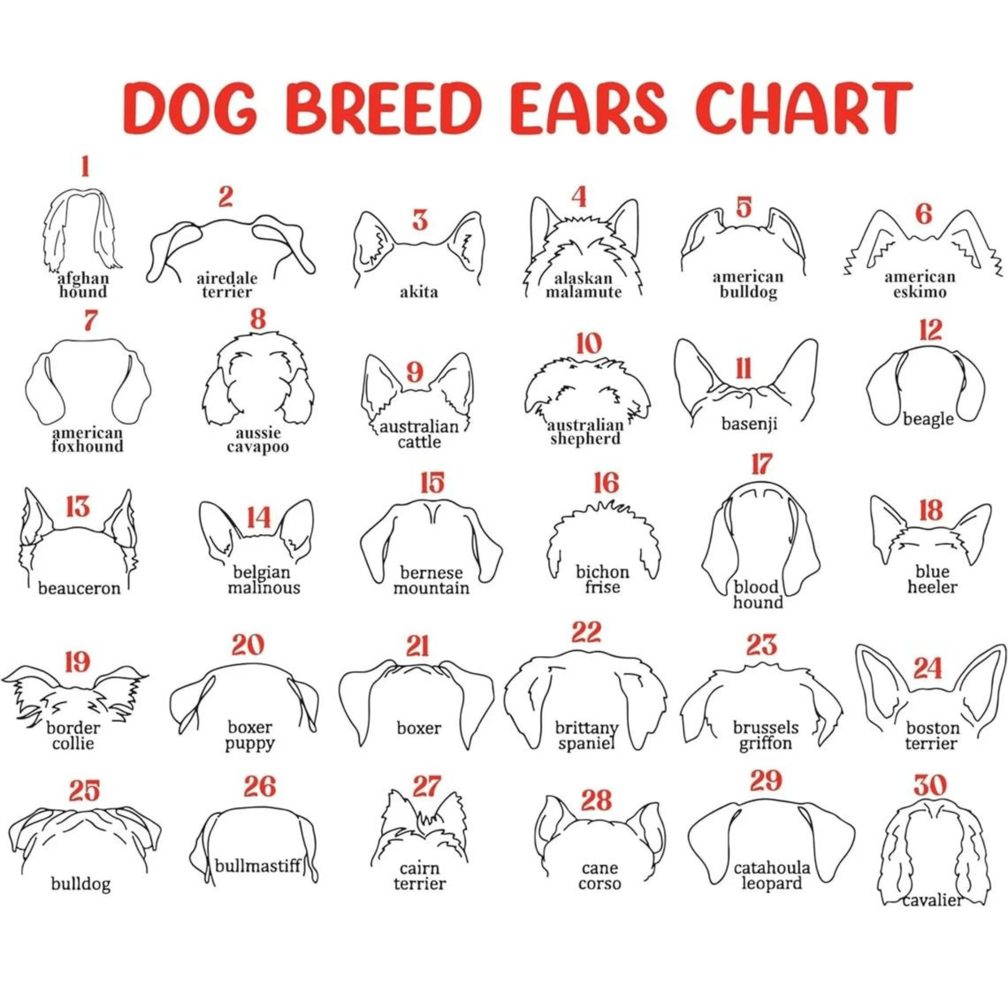 Dog Memorial Frame with Collar Holder