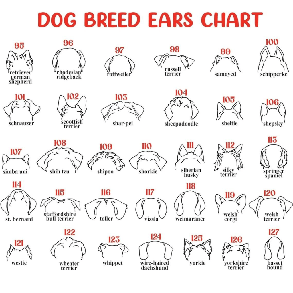 Dog Memorial Frame with Collar Holder