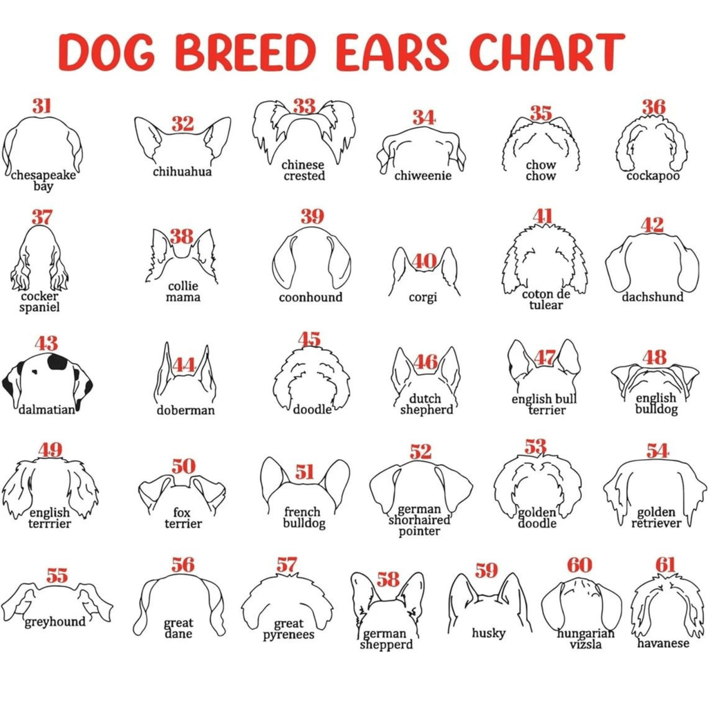 Dog Memorial Frame with Collar Holder