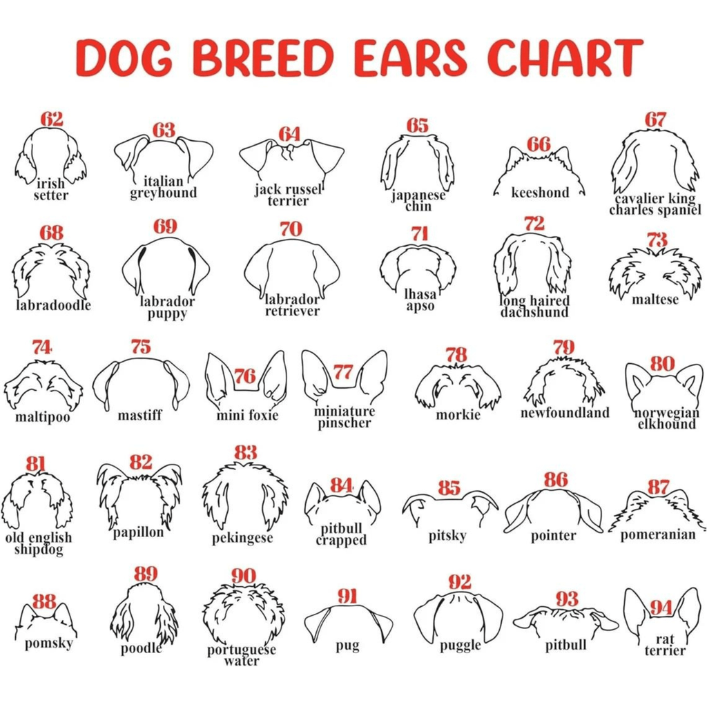 Dog Memorial Frame with Collar Holder