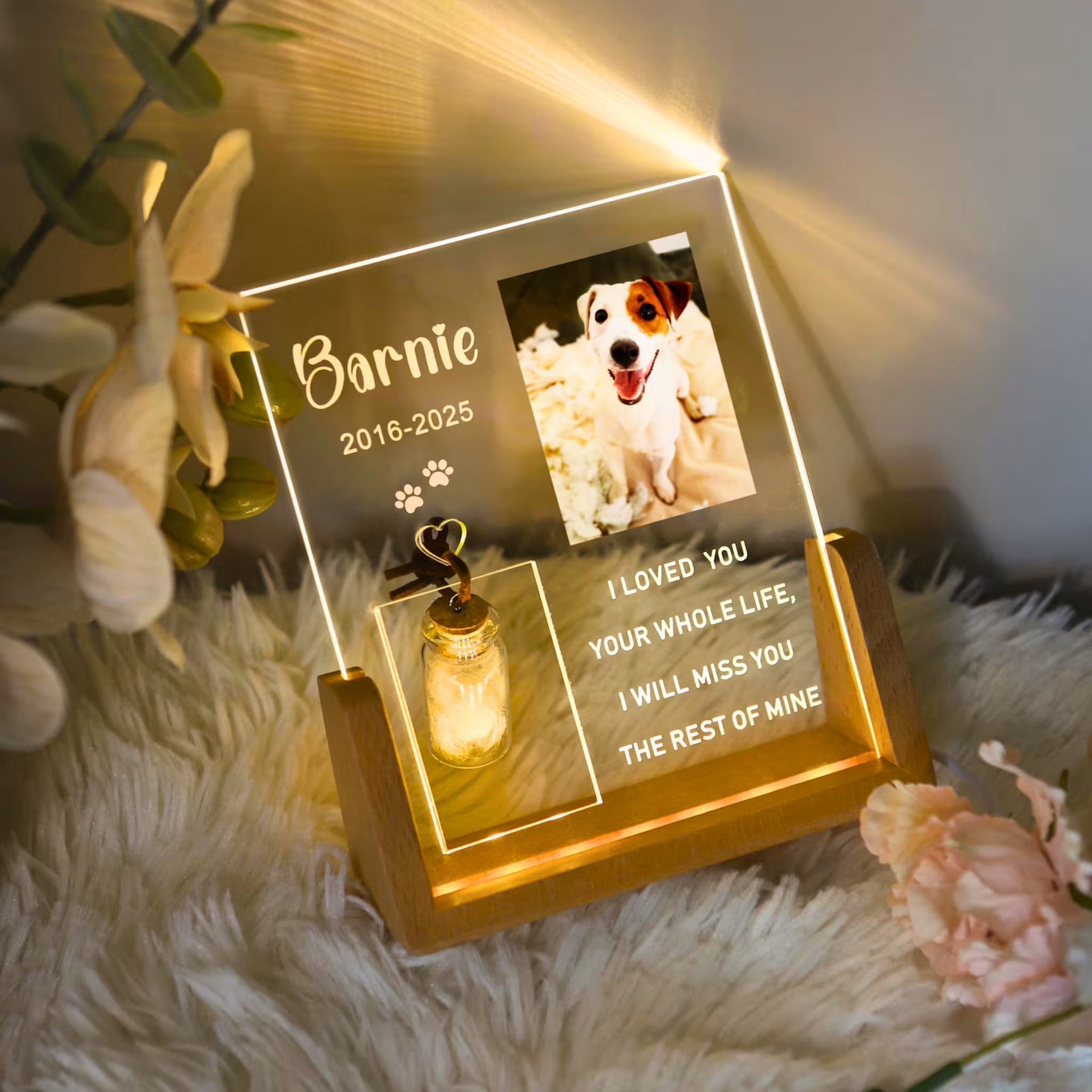 Personalized Pet Loss Night Light with Photo & Fur Storage