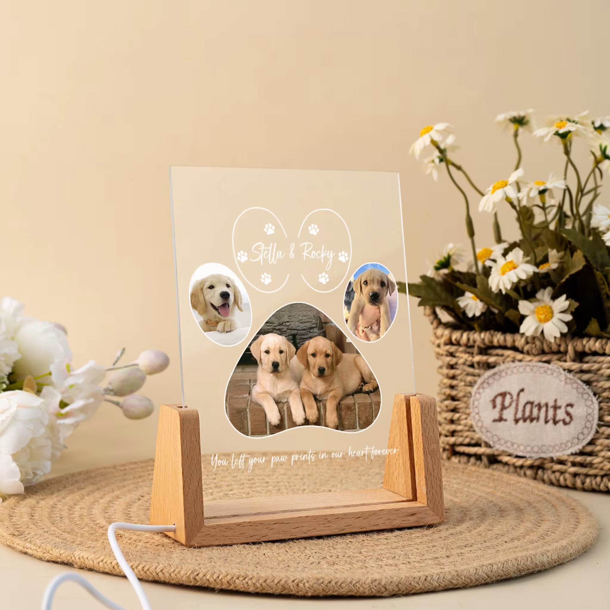 Personalized Pet Memorial LED Night Light