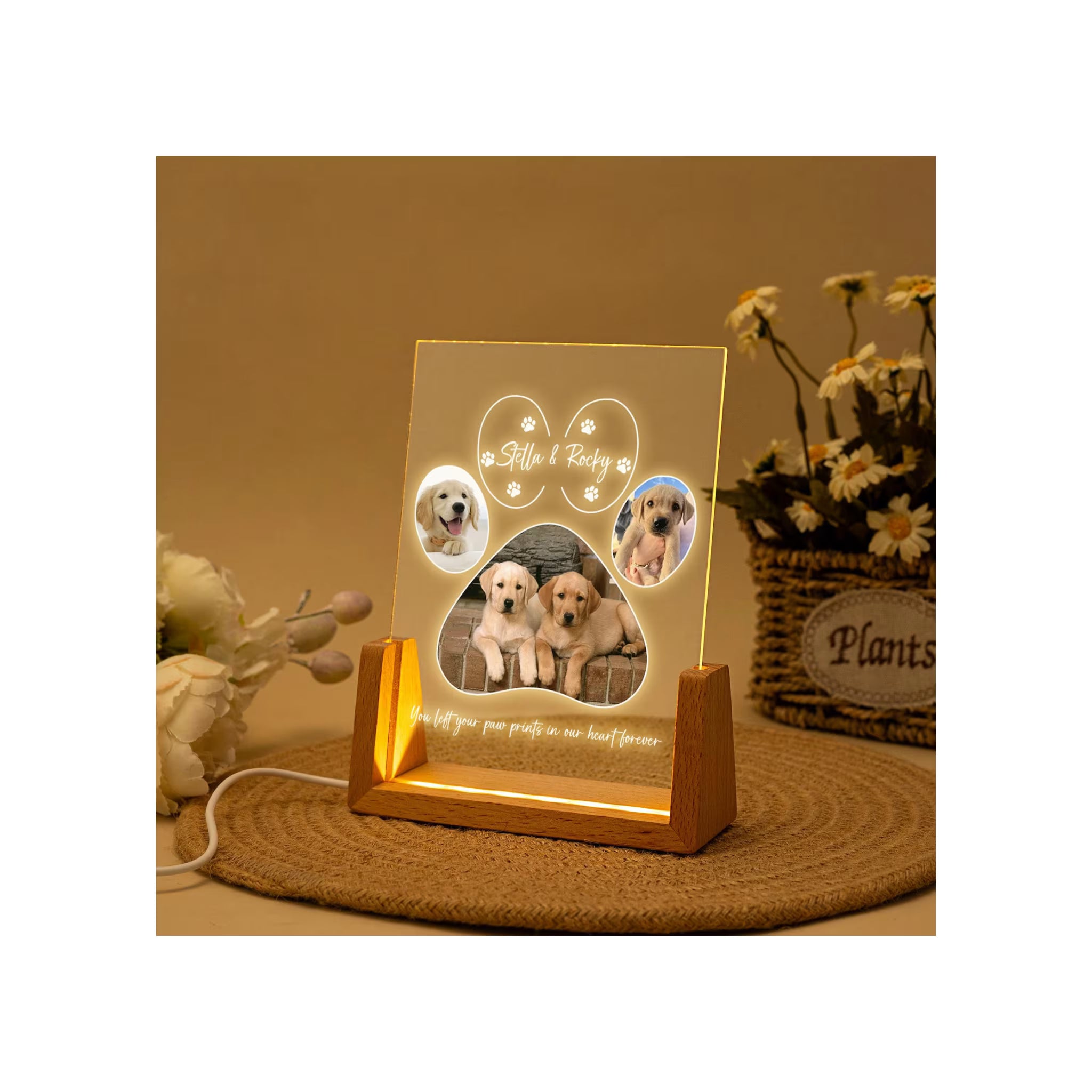 Personalized Pet Memorial LED Night Light